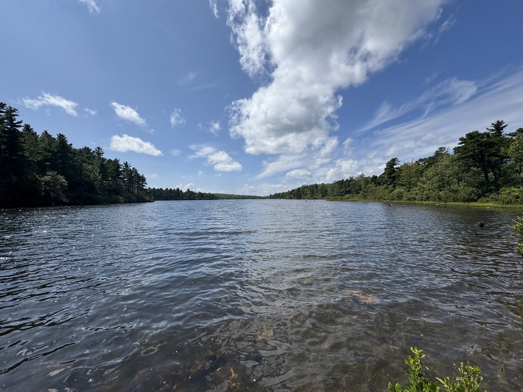 Things You Need If You’re A Beginner Walker or Light Hiker